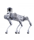 B2 Quadruped robot 