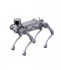 B2 Quadruped robot 