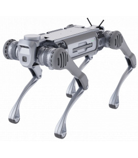 B2 Quadruped robot 