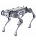 B2 Quadruped robot 